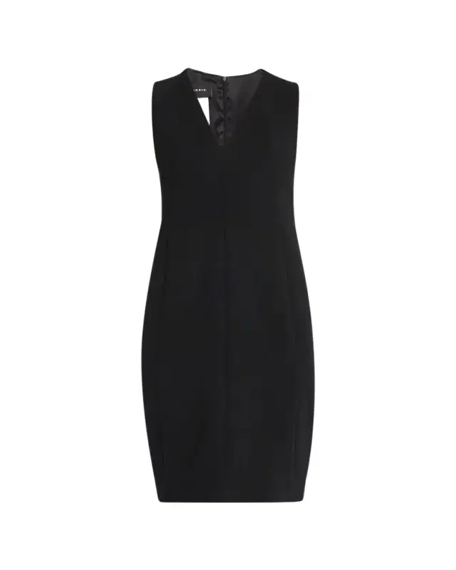 Sleeveless V-Neck Dress