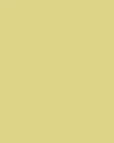 GINORI 1735 Oriente Italiano Oval Platter, Citrino | Thumbnail 2