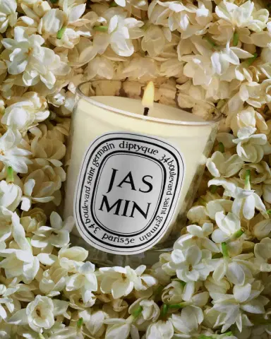 Diptyque Jasmin (Jasmine) Classic Candle, 6.7 oz. | Thumbnail 3