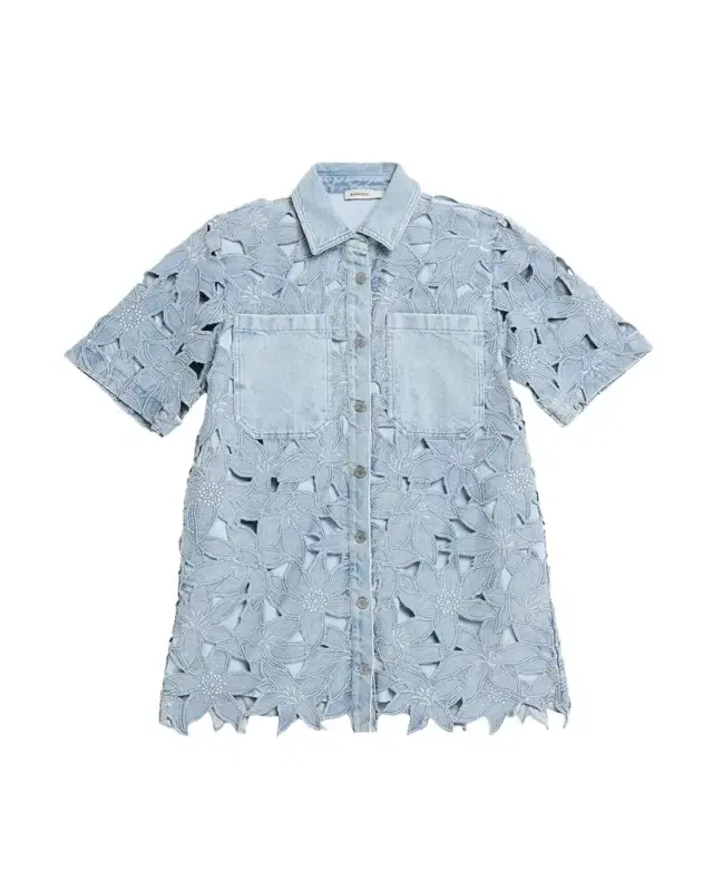 Calyn Embroidered Denim Mini Dress