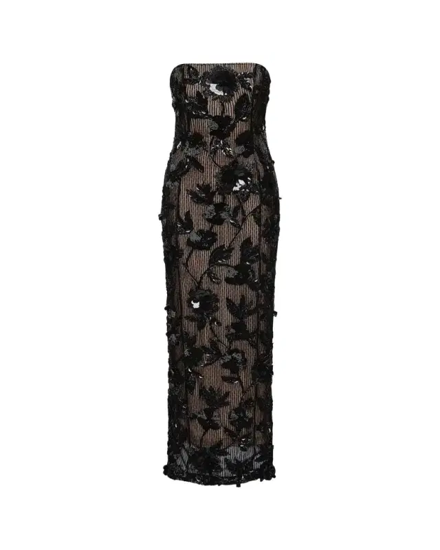 Pierre Strapless Embroidered Tulle Column Gown