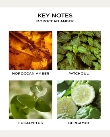 NEST New York Moroccan Amber Liquid, 10 oz. | Thumbnail 5 NEST New York Moroccan Amber Liquid, 10 oz. | Thumbnail 5