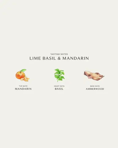 Jo Malone London Lime Basil Mandarin Diffuser, 5.5 oz. | Thumbnail 3 Jo Malone London Lime Basil Mandarin Diffuser, 5.5 oz. | Thumbnail 3