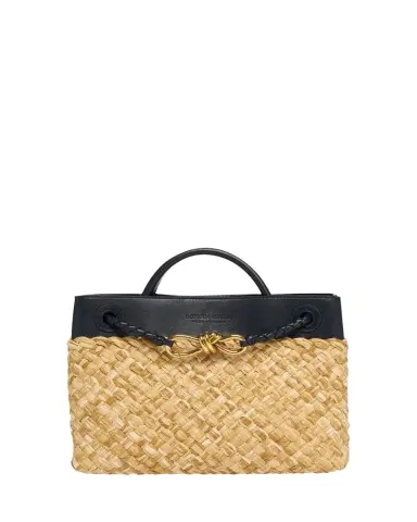 Bottega Veneta Andiamo Small Raffia Crossbody Bag | Thumbnail 1
