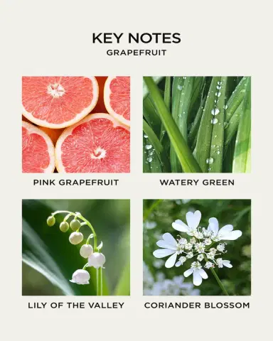 NEST New York 10 oz. Grapefruit Liquid Soap | Thumbnail 4