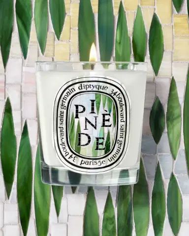 Diptyque Pinède Classic Candle, 6.5 oz. | Thumbnail 3