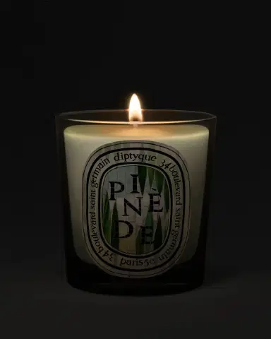 Diptyque Pinède Classic Candle, 6.5 oz. | Thumbnail 4