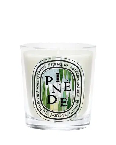 Diptyque Pinède Classic Candle, 6.5 oz. | Thumbnail 1