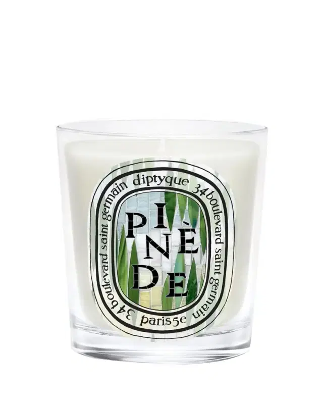 Diptyque Pinède Classic Candle, 6.5 oz.