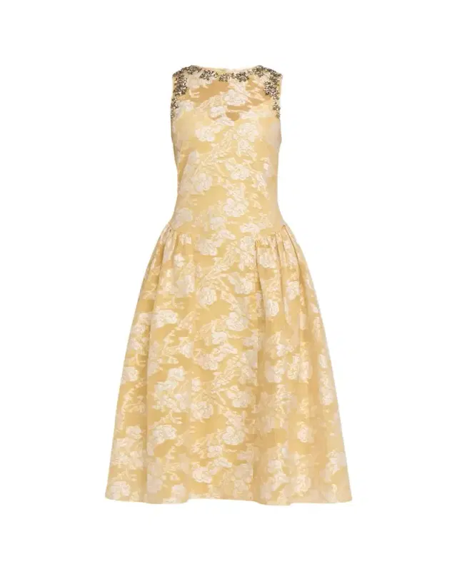 Organza Jacquard Drop-Waist Dress