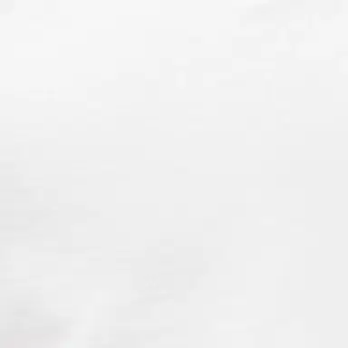 Roberto Cavalli White Roar Shorts | Thumbnail 4 Roberto Cavalli White Roar Shorts | Thumbnail 4