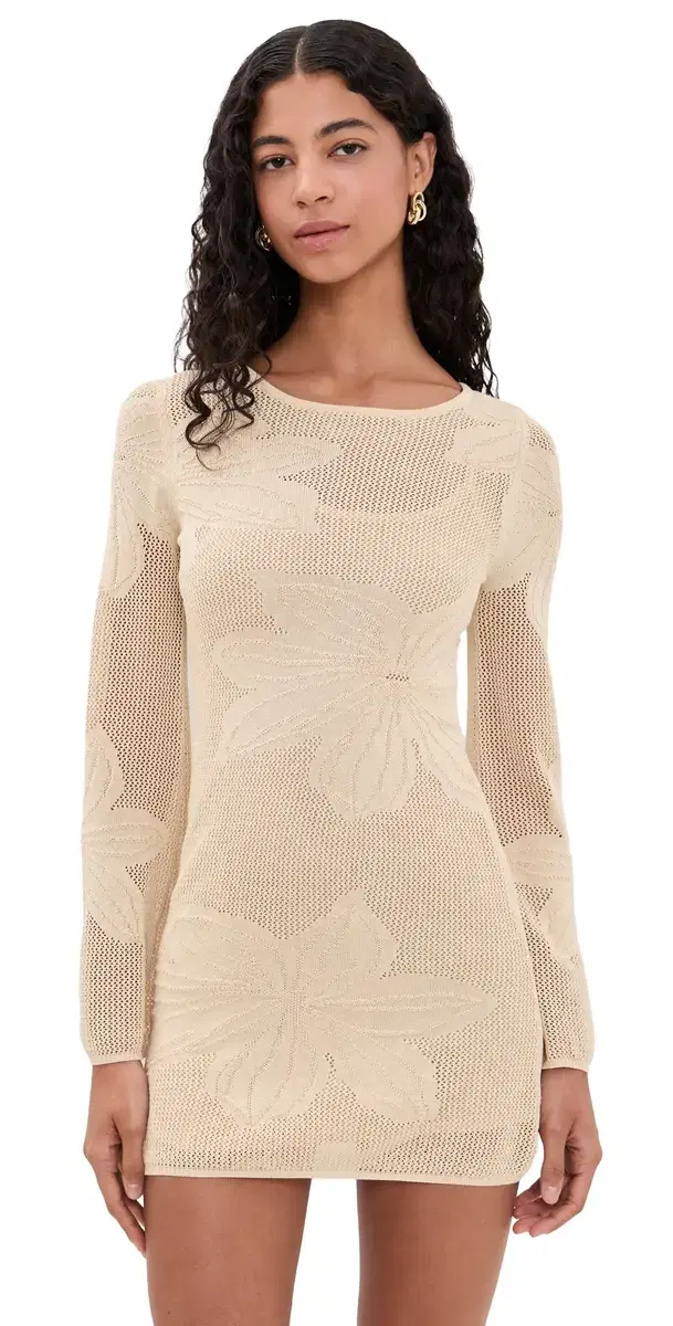 Lioness olace Mini Dress and