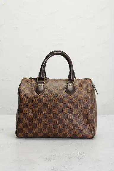 louis vuitton Louis Vuitton Damier Ebene Speedy 25 Handbag | Thumbnail 2