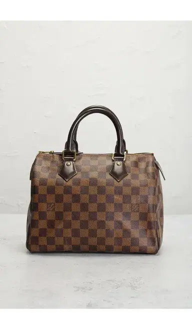 louis vuitton Louis Vuitton Damier Ebene Speedy 25 Handbag | Thumbnail 11