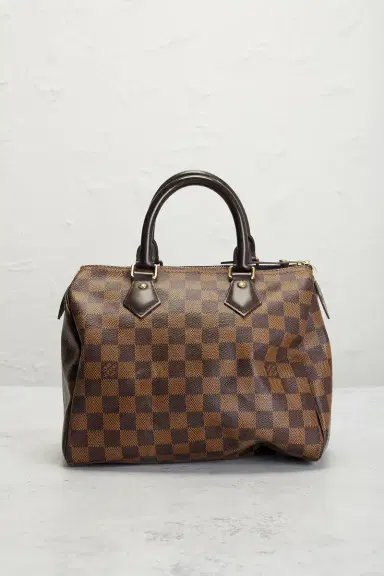 louis vuitton Louis Vuitton Damier Ebene Speedy 25 Handbag | Thumbnail 3