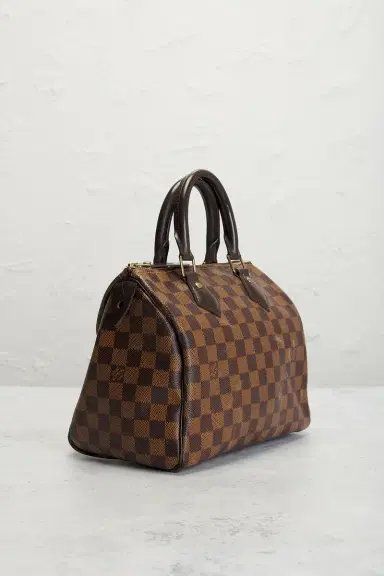 louis vuitton Louis Vuitton Damier Ebene Speedy 25 Handbag | Thumbnail 4