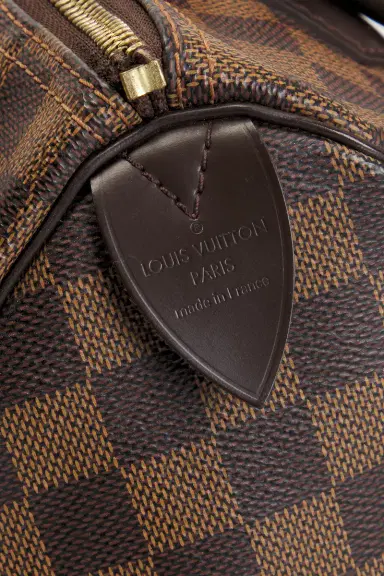 louis vuitton Louis Vuitton Damier Ebene Speedy 25 Handbag | Thumbnail 5