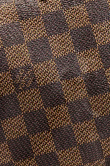 louis vuitton Louis Vuitton Damier Ebene Speedy 25 Handbag | Thumbnail 6