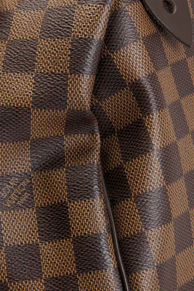 louis vuitton Louis Vuitton Damier Ebene Speedy 25 Handbag | Thumbnail 8