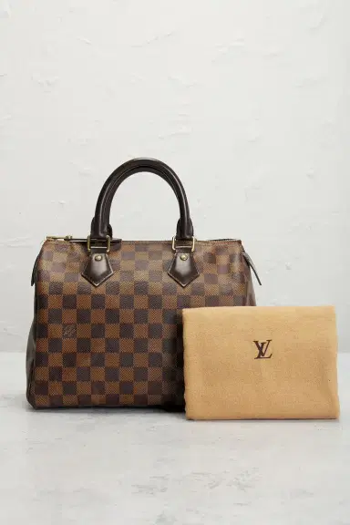 louis vuitton Louis Vuitton Damier Ebene Speedy 25 Handbag | Thumbnail 9