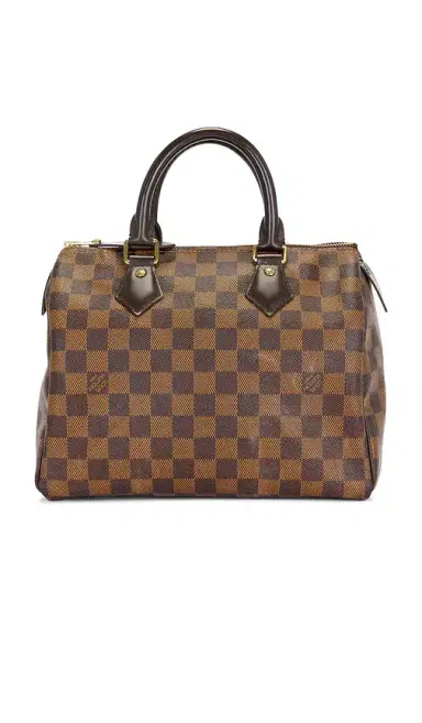 louis vuitton Louis Vuitton Damier Ebene Speedy 25 Handbag | Thumbnail 10