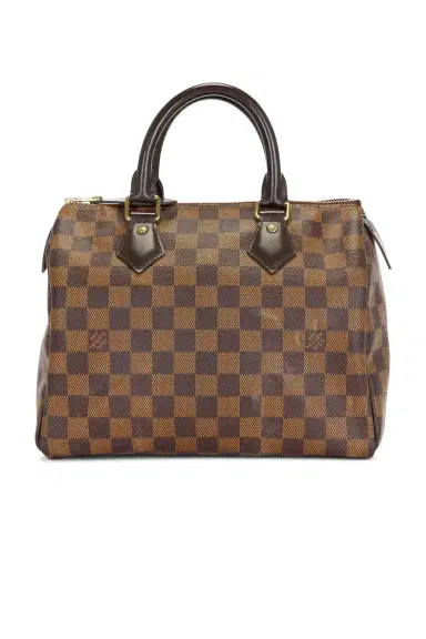 louis vuitton Louis Vuitton Damier Ebene Speedy 25 Handbag | Thumbnail 1