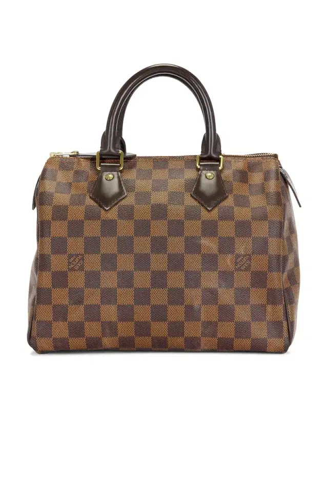 louis vuitton Louis Vuitton Damier Ebene Speedy 25 Handbag