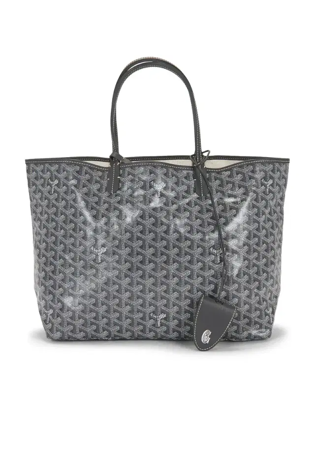 Goyard Saint Louis PM Tote Bag