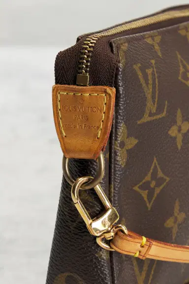 Louis Vuitton Louis Vuitton Monogram Pochette Accessoires Shoulder Bag | Thumbnail 5