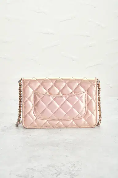 Chanel Chanel Lambskin Wallet On Chain | Thumbnail 3