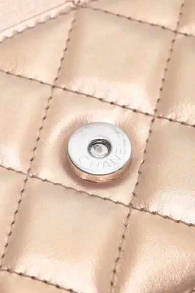 Chanel Chanel Lambskin Wallet On Chain | Thumbnail 7