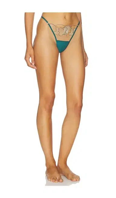 Bluebella Gianna Thong | Thumbnail 2 Bluebella Gianna Thong | Thumbnail 2