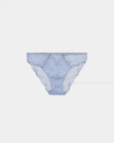 Lise Charmel Nymphe Bleue Embroidered Tulle Italian Briefs | Thumbnail 2