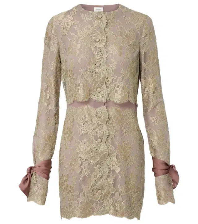 Silk-trimmed lace minidress