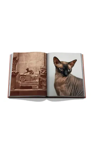 ASSOULINE Chic Cats - Orange | Thumbnail 2