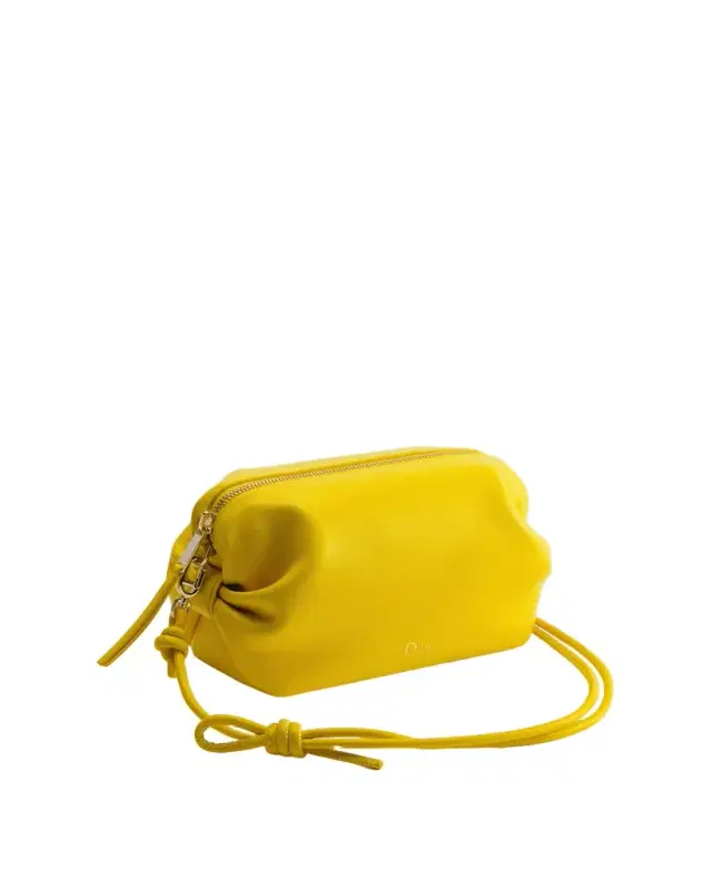Dior Dior Bow Pouch
