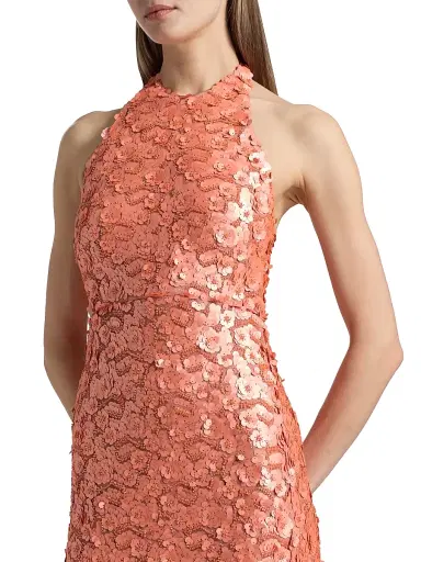 Ramy Brook Women's Giada Floral Sequined Halter Gown | Thumbnail 6