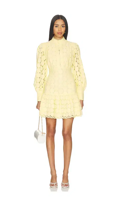 Remy Spot Lace Mini Dress