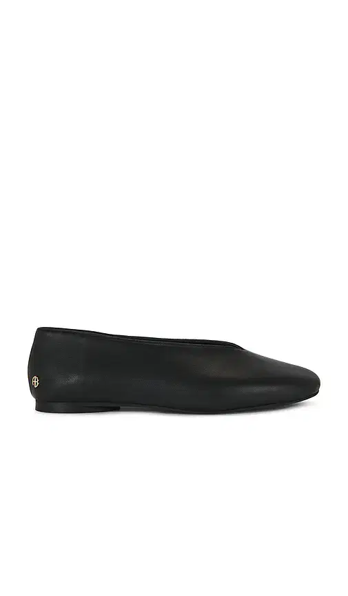 Ana Flat