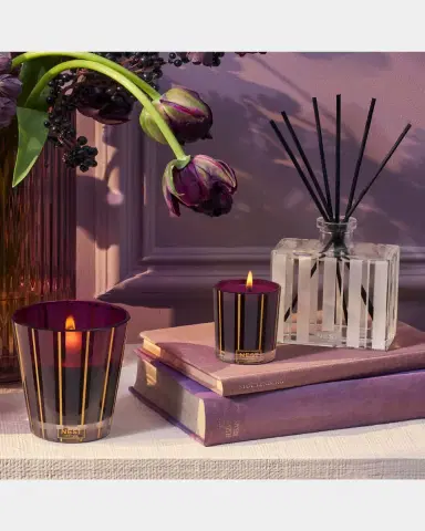 NEST New York 5.9 oz. Autumn Plum Reed Diffuser | Thumbnail 4