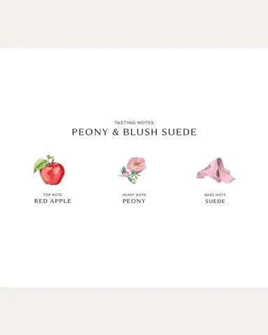 Jo Malone London Peony & Blush Suede Scented Candle | Thumbnail 4
