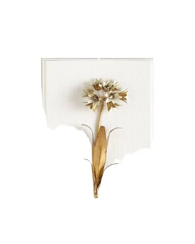 Tommy Mitchell Original Gilded Agapanthus Study on Linen
