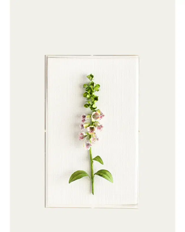 Tommy Mitchell Original Painted Foxglove Study