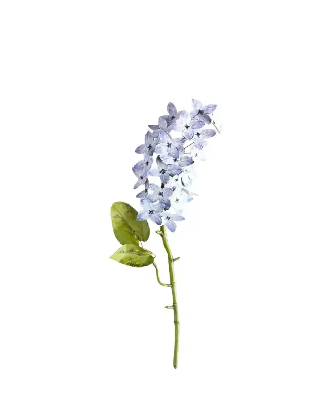 Tommy Mitchell Original Painted Lilac Study