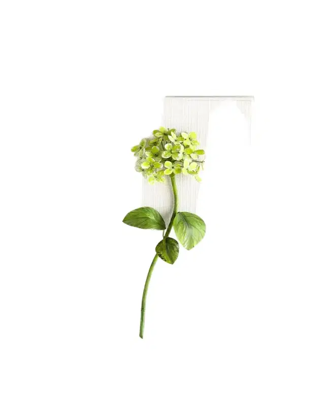 Tommy Mitchell Original Painted Hydrangea Study
