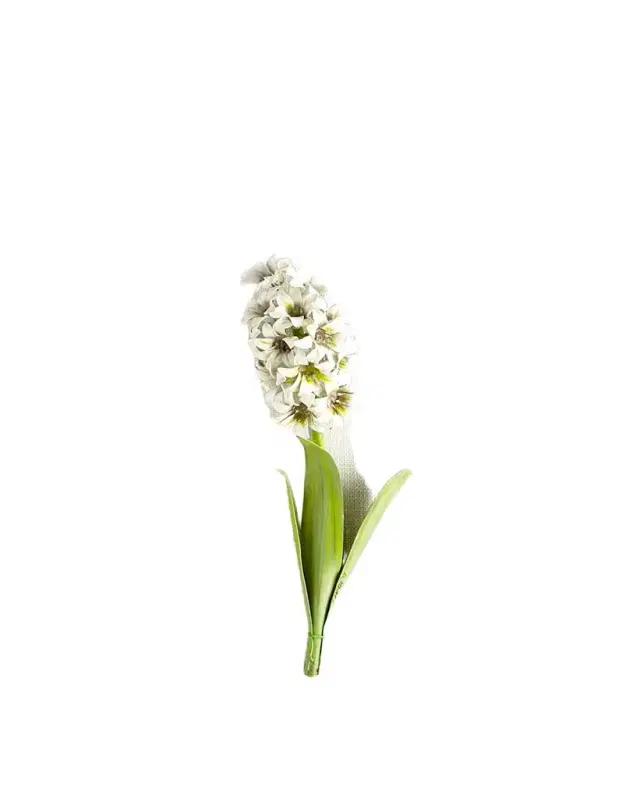 Tommy Mitchell Original Painted Hyacinth Study
