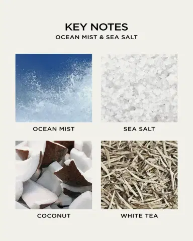 NEST New York Ocean Mist & Sea Salt Liquid Soap, 10 oz. | Thumbnail 5