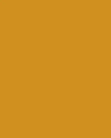 Lalique Tourbillons Amber Vase | Thumbnail 3