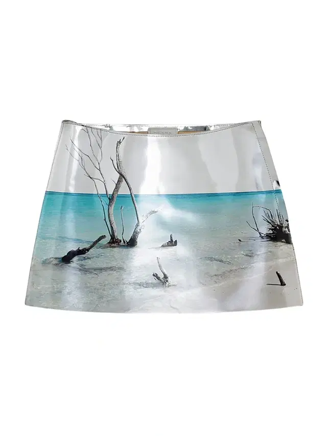 Women's Shiny Leather Miniskirt - Assorted