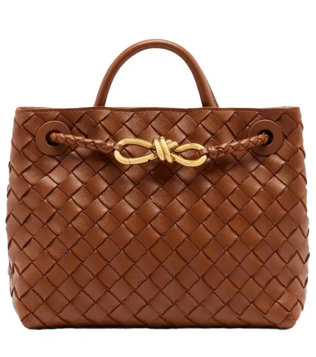 Bottega Veneta Andiamo Small leather top-handle bag